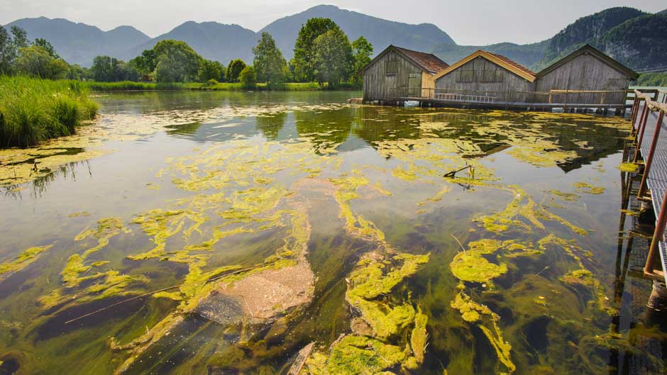 Solutions for Effective Harmful Algal Bloom Monitoring: Instrumentation, Methods and Best Practices